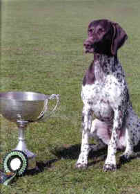 Bart with Crufts Trophy_small.jpg (13214 bytes)